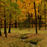 Рисунок "Осенний ручей"