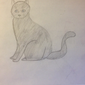 Рисунок Кошки карандашами, Семен Колмаков, 13 лет