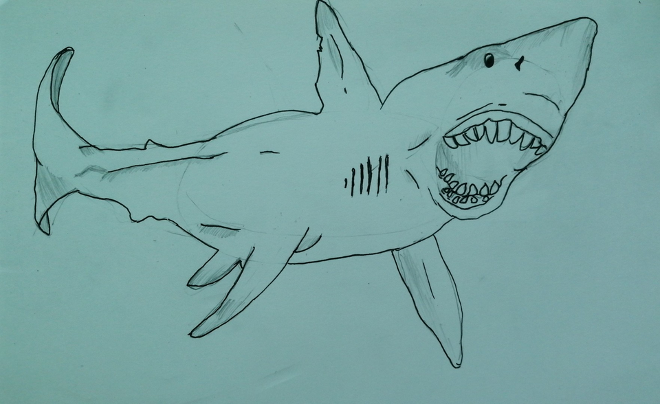 Детский рисунок - Акула