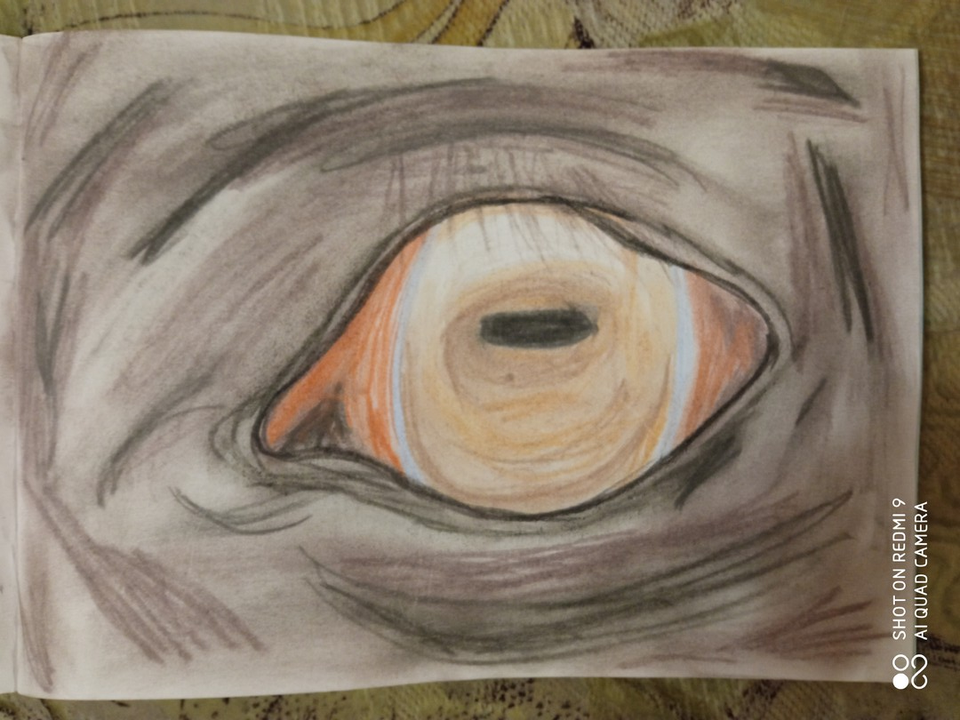 Детский рисунок - Глаз коня