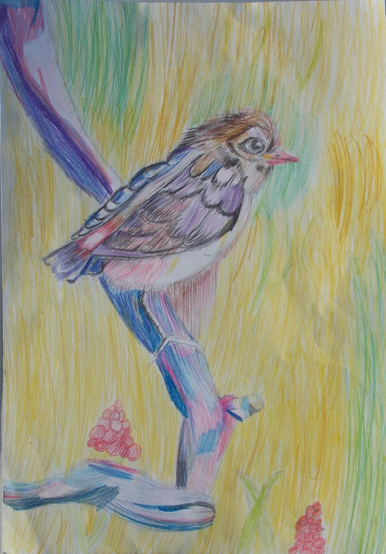 Детский рисунок - Лесная птичка