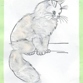 Рисунок "моя любимая кошка" на конкурс "Конкурс детского рисунка "Любимое животное - 2018""