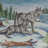 Рисунок "Волки" на конкурс "Конкурс детского рисунка “Мой родной, любимый край”"