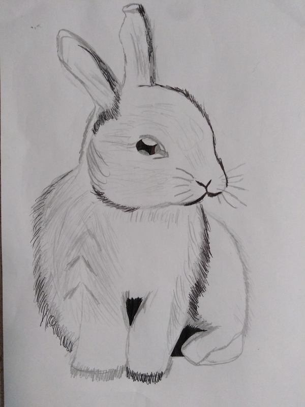 Детский рисунок - Добрый кролик