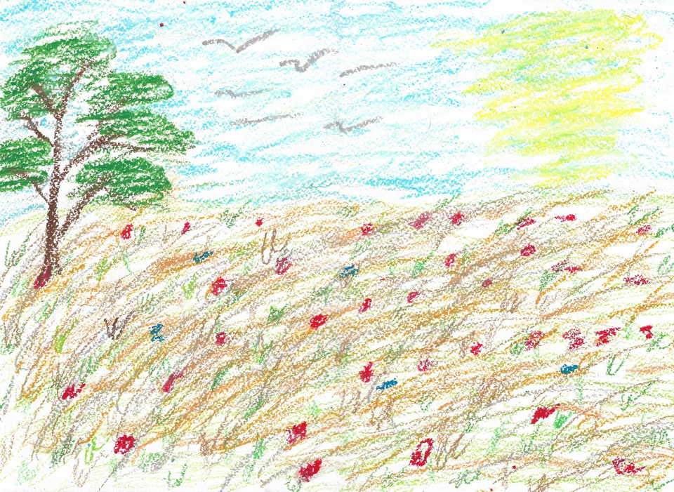 Детский рисунок - Поле цветет
