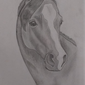 Лошадь, Валя Марухина, 16 лет