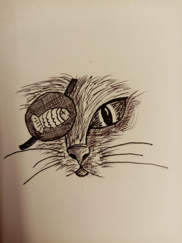 Детский рисунок - Пират кот