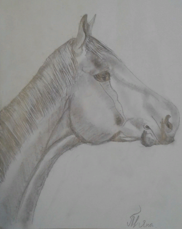 Детский рисунок - Лошадка