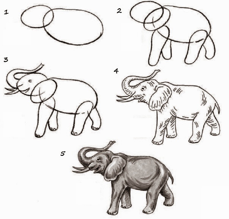 Животное рисунок 7 класс. Рисование зверей. Схемы изображения животных. Рисование животных для детей. Этапы рисования.