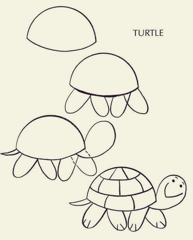 Черепаха поэтапное рисование для детей