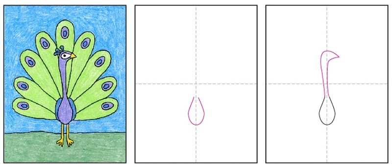 Как нарисовать павлина с раскрытым хвостом поэтапно карандашом и красками