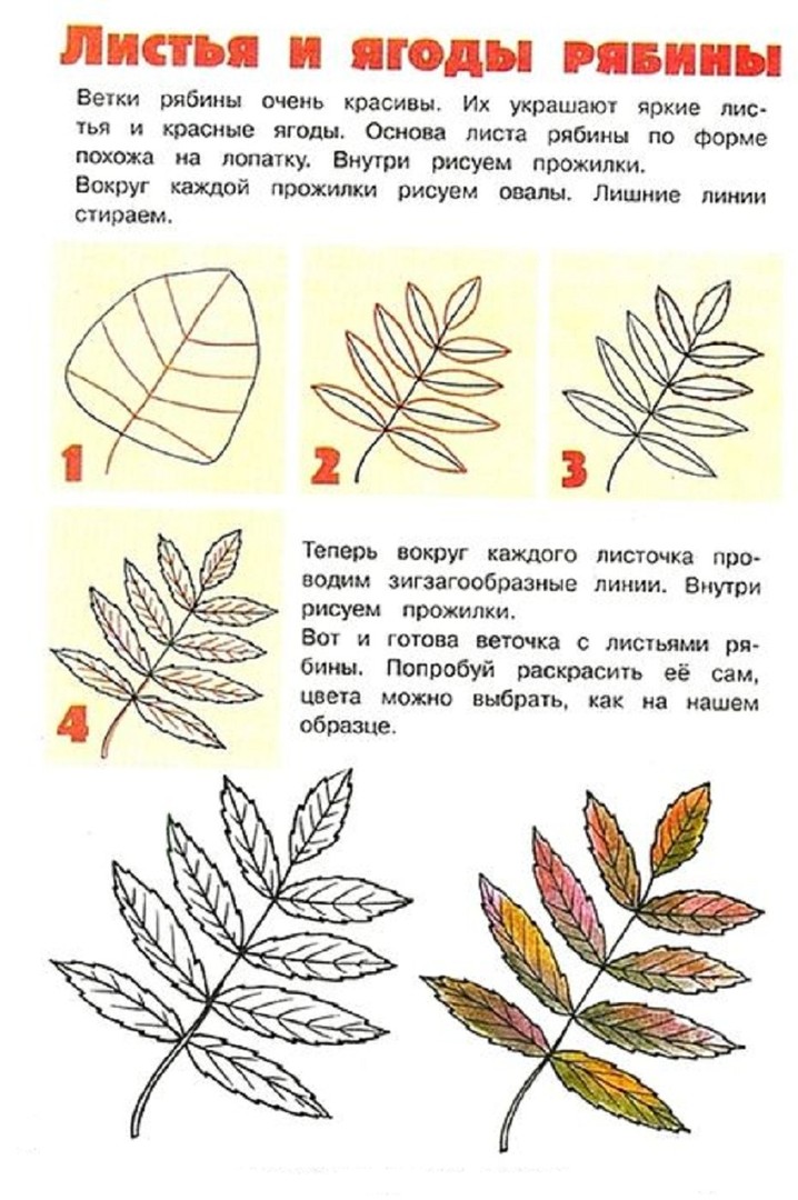 Презентация 