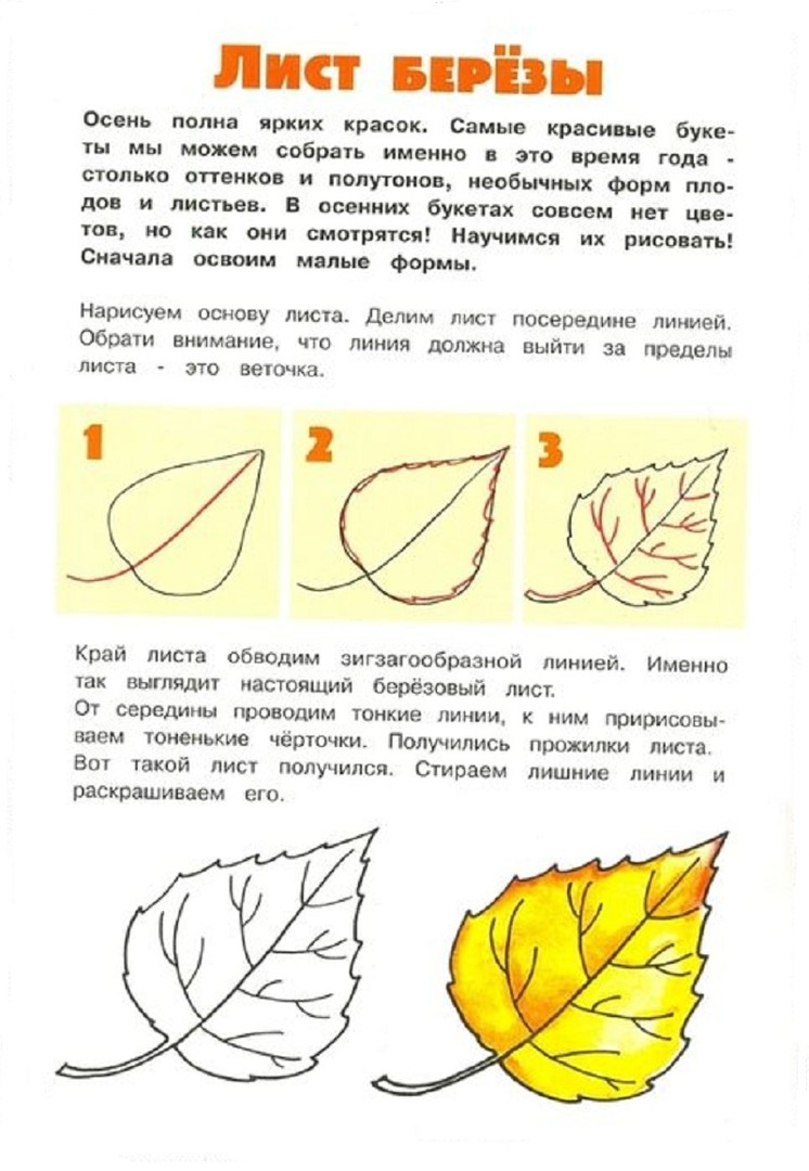 Как нарисовать Листья с помощью карандашей поэтапно?