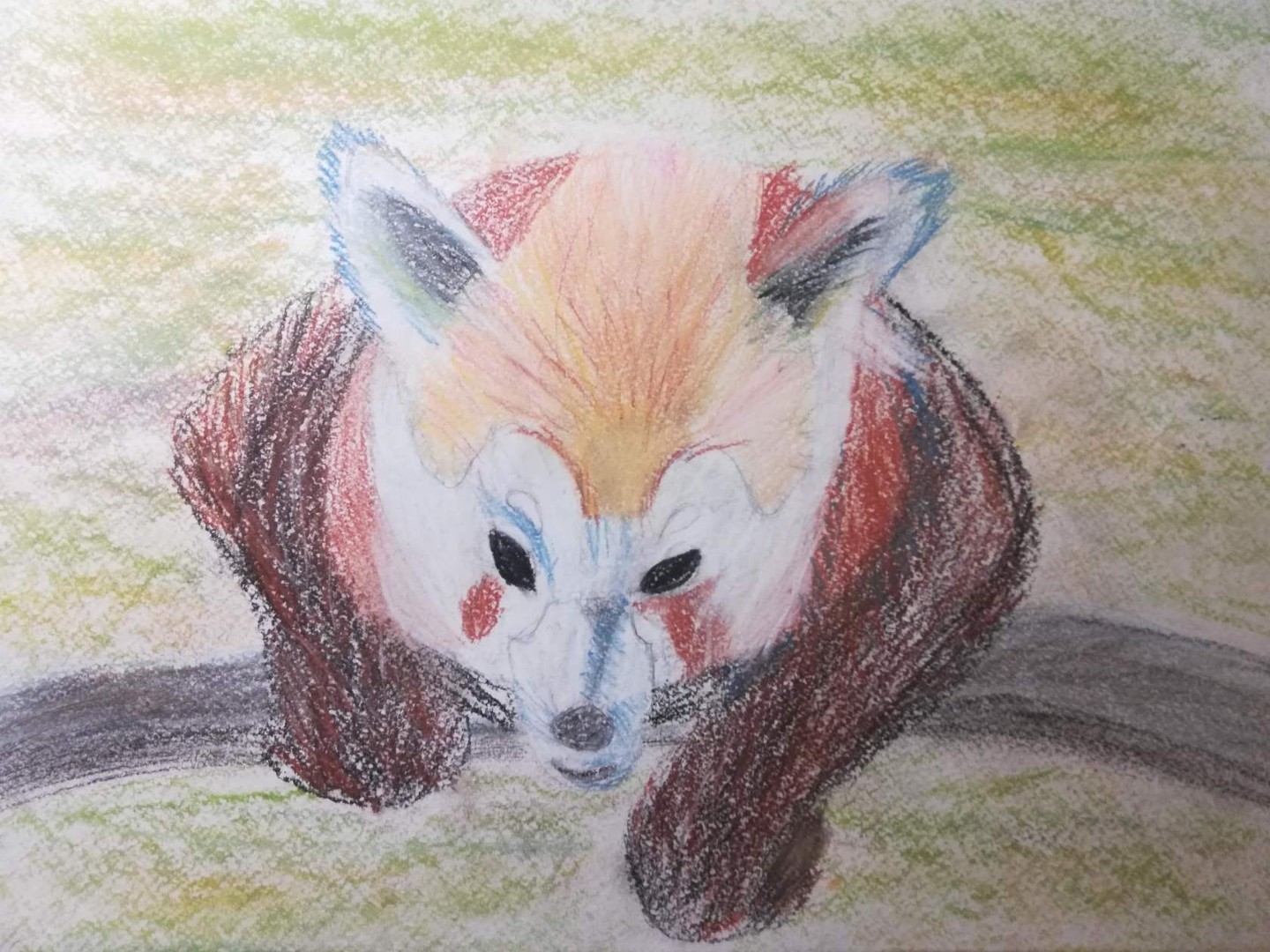 Red panda картины по номерам